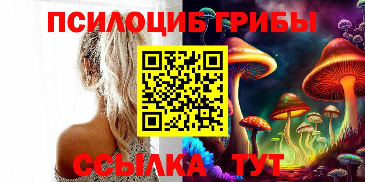 Псилоцибиновые грибы Cubensis Менделеевск