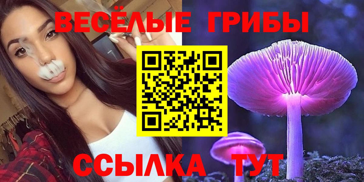 Менделеевск  Псилоцибиновые грибы прущие грибы  Псилоцибиновые грибы прущие грибы  Вход с VPN 